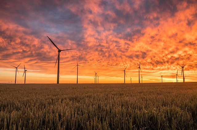 Energierecord 2024: meer groene dan grijze energie opgewekt